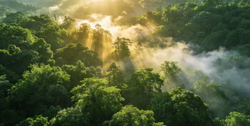 南京肺癌（EGFR T790M)突变检测图片1