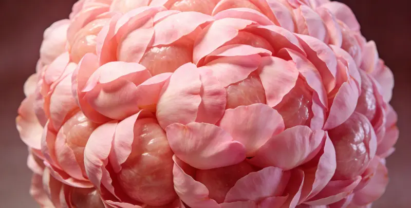 南京BRCA1/2乳腺癌卵巢癌基因检测图片1